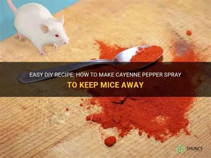 Do mice eat cayenne pepper?