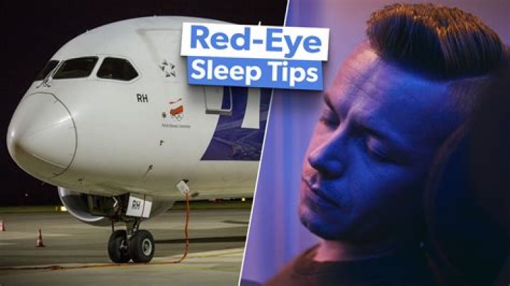 Do pilots sleep on red-eye flights?