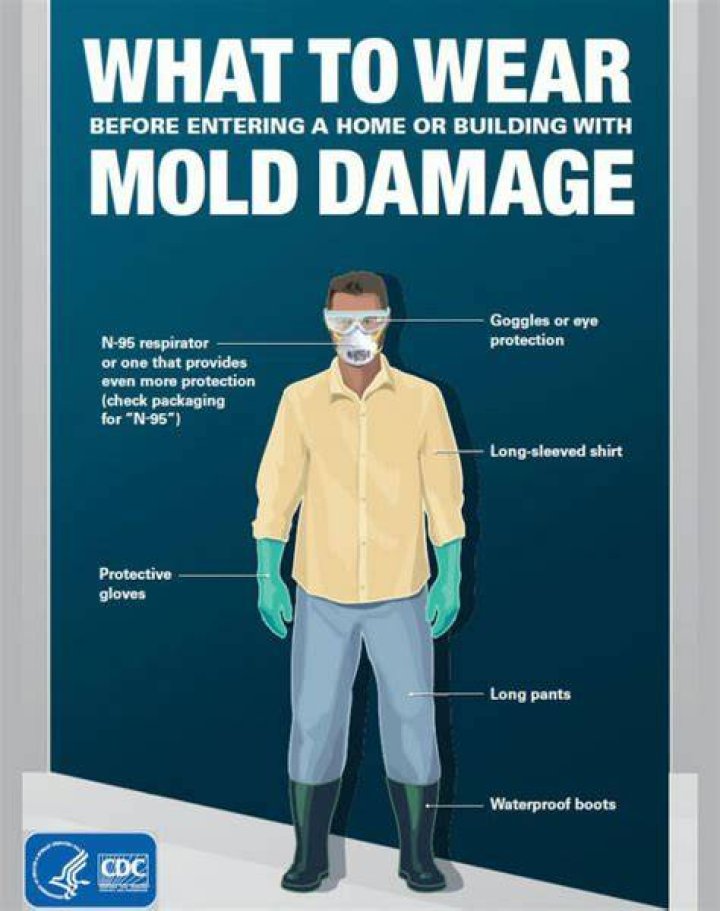 Do you need a mask to remove black mold?