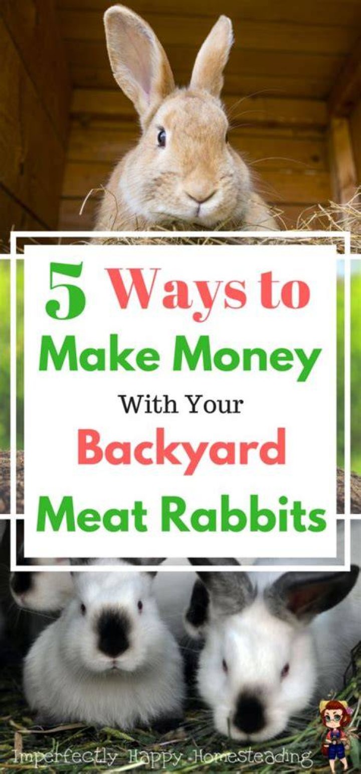 How do backyard farms make money?
