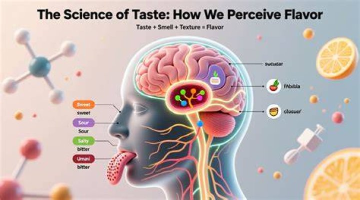 How do professionals taste food?