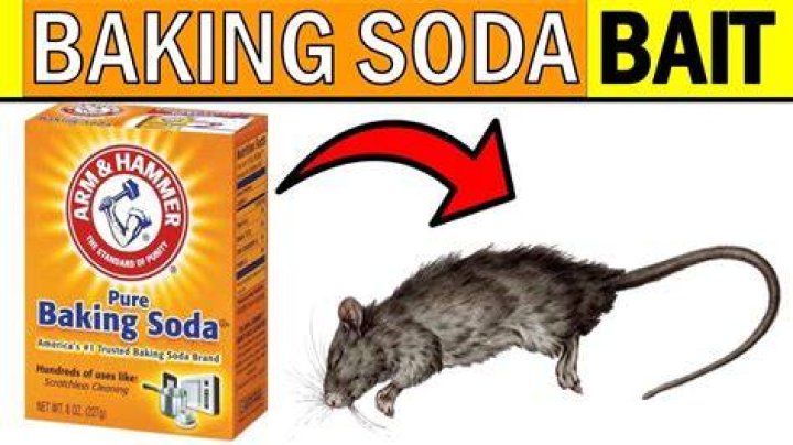 How do you use baking soda to get rid of mice?
