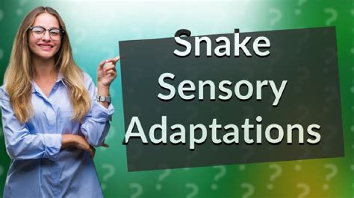Is snake deaf or blind?