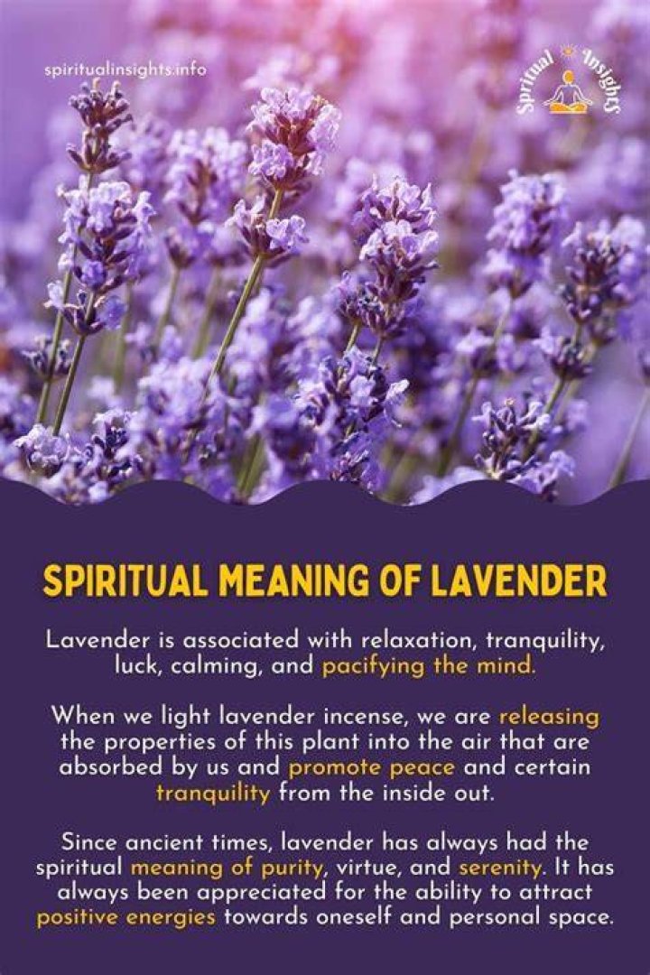 What's the spiritual meaning of lavender?