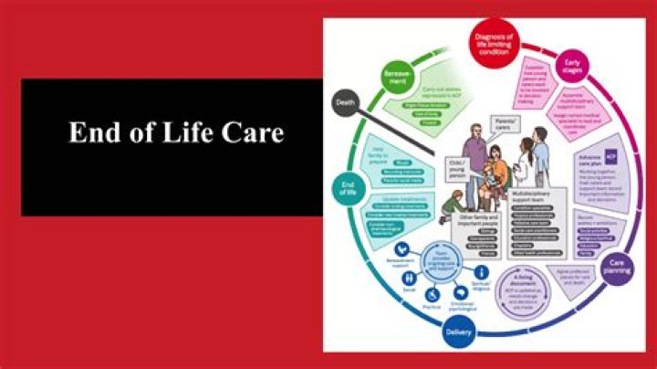 What are the key elements of the 5 priorities of care?