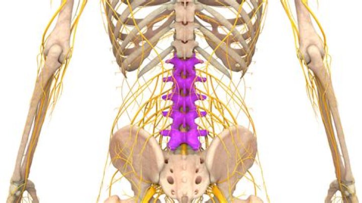 What are the symptoms of L4-L5 nerve damage?