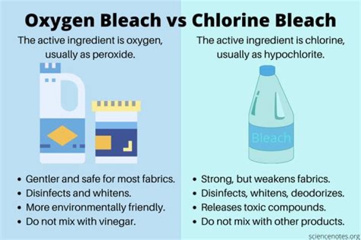 What does bleach do for your pool?