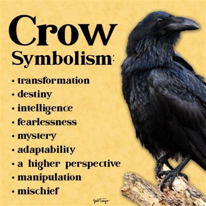 What does the crow mean spiritually?