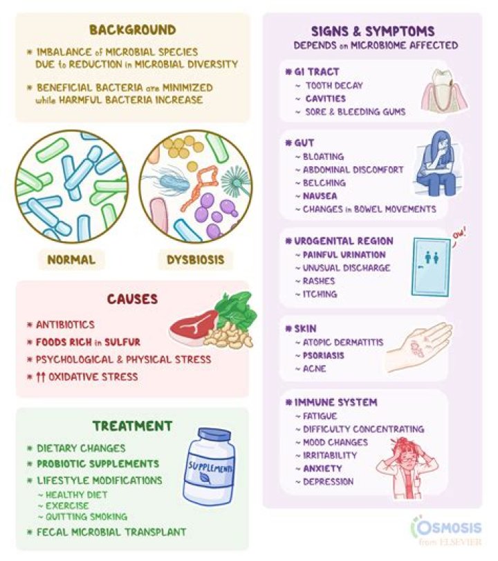 What is bacterial dysbiosis?