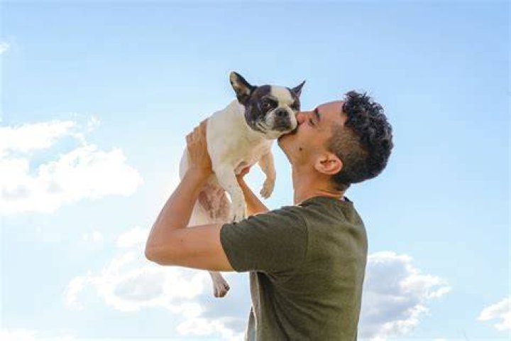 What kind of person hurts animals?
