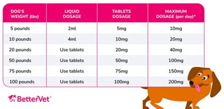 What over-the-counter allergy medicine is best for dogs?