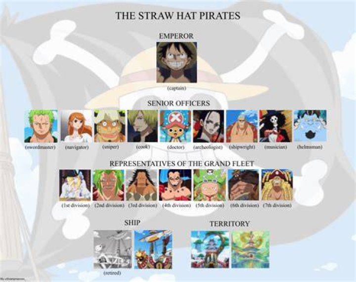 Who is the 6th member of Straw Hat?