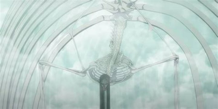 Why does Eren's founding Titan look like a skeleton?