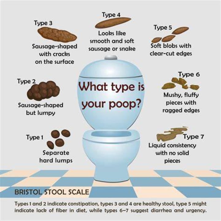 Why does my boyfriend take so long to poo?