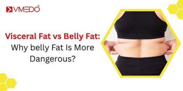 Why is the belly fat the last to go?